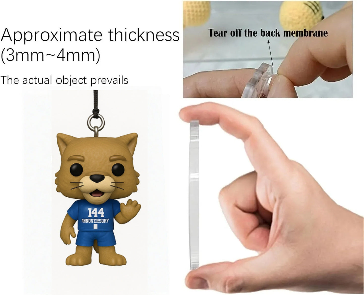 2025 Kentucky Wildcats 144th Anniversary Advent Calendar